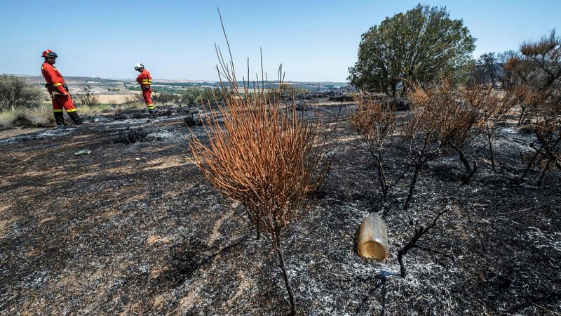 14 horas fin de semana -  Los Bomberos priorizan que no avance a poblaciones el fuego de Almorox-Cadalso - Escuchar ahora