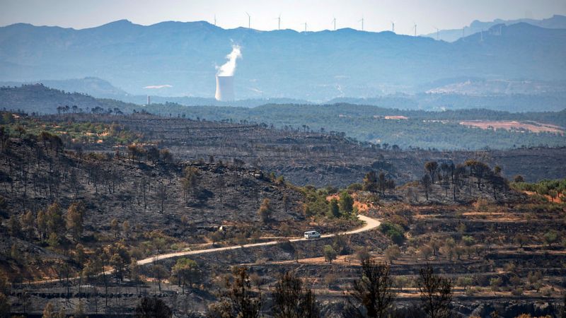 Municipios afectados por el fuego pedirán la declaración de zona catastrófica - Escuchar ahora