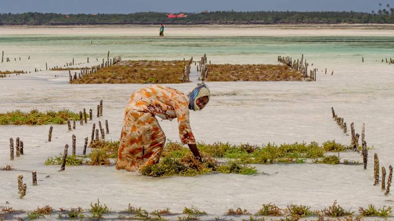 África hoy - El papel de la mujer en África, en los Lunes Literarios - 03/07/19 - escuchar ahora