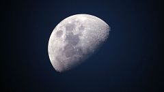 Memoria de delfín - 50 años del Apolo XI: primera huella en la luna - 06/07/19