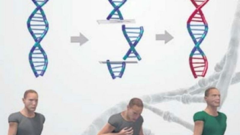 Destellos de la ciencia - Más aplicaciones para la tecnología Crispr - 6/7/19 - Escuchar ahora