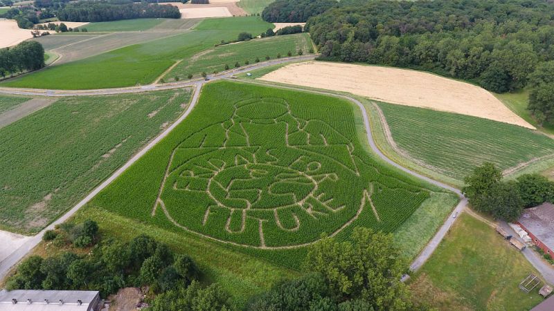 Encuentro a nivel nacional de los jóvenes preocupados por el cambio climático - Escuchar ahora