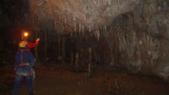 Las mañanas de RNE con Íñigo Alfonso