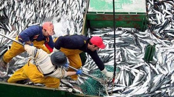 Españoles en la mar