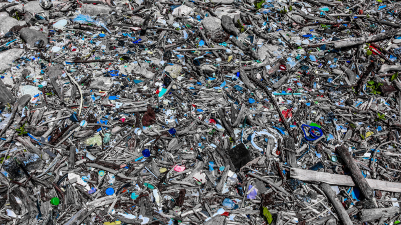 Los plásticos de un solo uso estarán prohibidos en Europa a partir del año 2021 - escuchar ahora