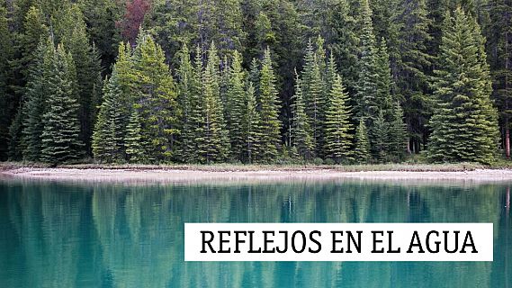 Reflejos en el agua