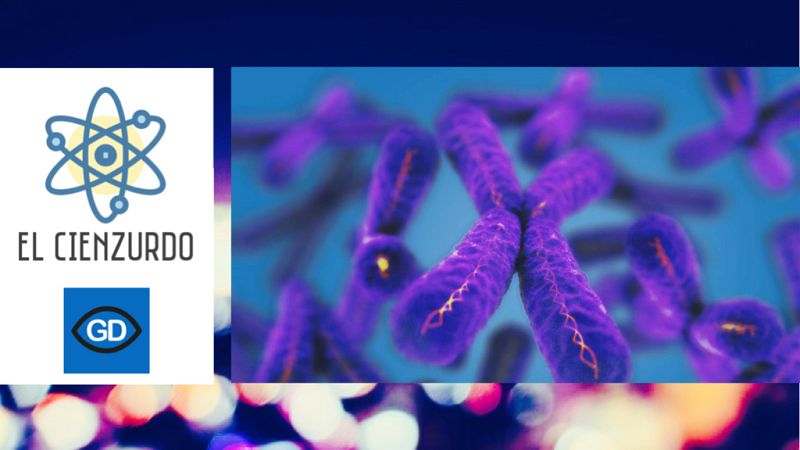 Duración de la vida - David Zurdo - "El Cienzurdo" - Escuchar ahora