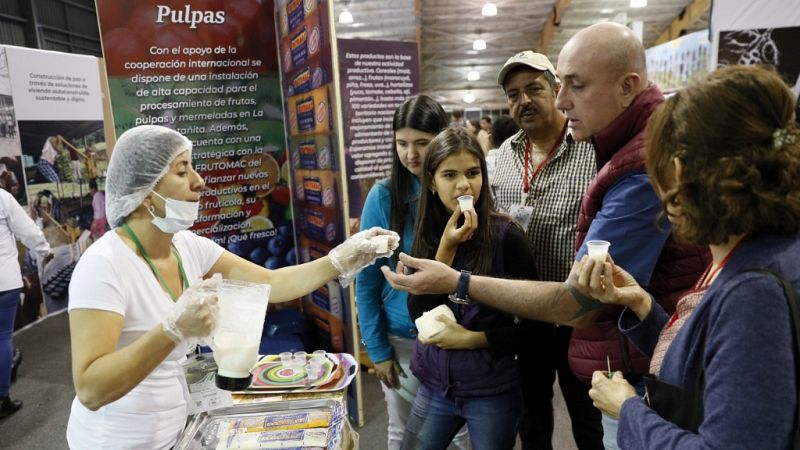Cinco Continentes - En Colombia, la vida después de la guerrilla - Escuchar ahora 