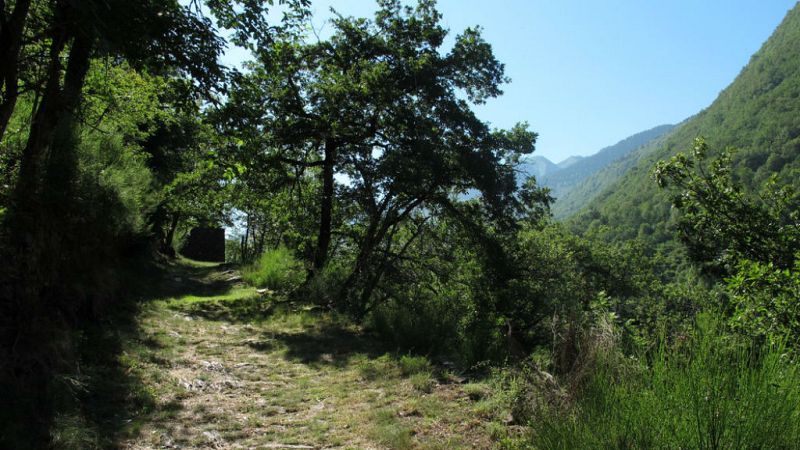 Caminantes - Caminos de mineros y contrabandistas - 20/07/19 - Escuchar ahora