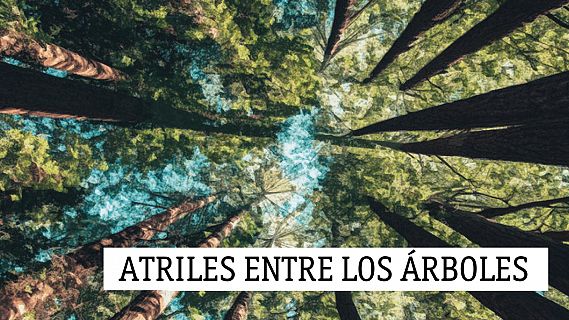 Atriles entre los árboles