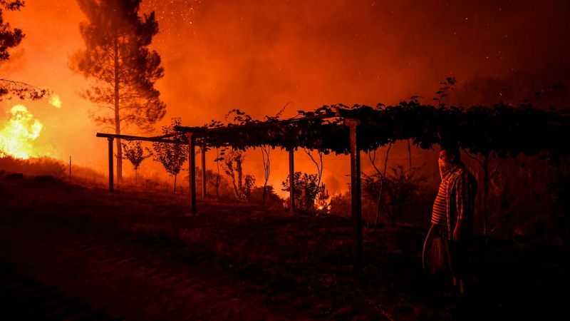 Boletines RNE - Un gran incendio sigue activo en el centro de Portugal, donde hay 8 heridos - Escuchar ahora