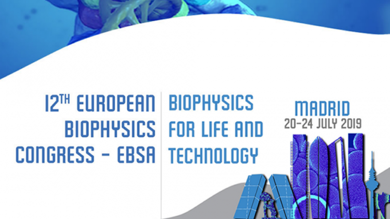 Informativo territorial de Madrid - Congreso Mundial en Madrid: "Biofísica para la vida y la tecnología" - Escuchar ahora
