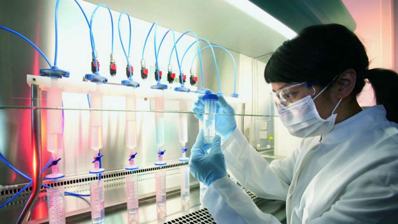 Destellos de la ciencia - Equilibrio genético - 27/07/19 - Escuchar ahora