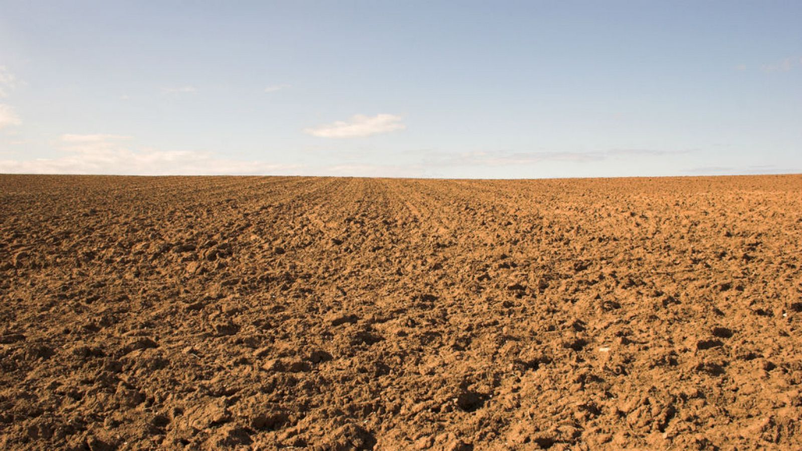14 horas - En siete meses hemos agotado los recursos naturales de todo un año - Escuchar ahora