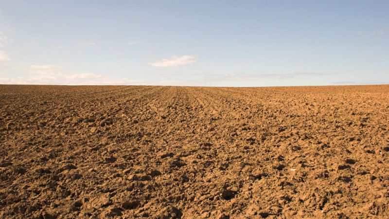 14 horas - En siete meses hemos agotado los recursos naturales de todo un año - Escuchar ahora