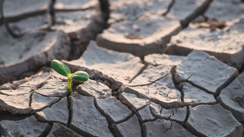 24 horas - Entrevista ecologistas en acción - Escuchar ahora