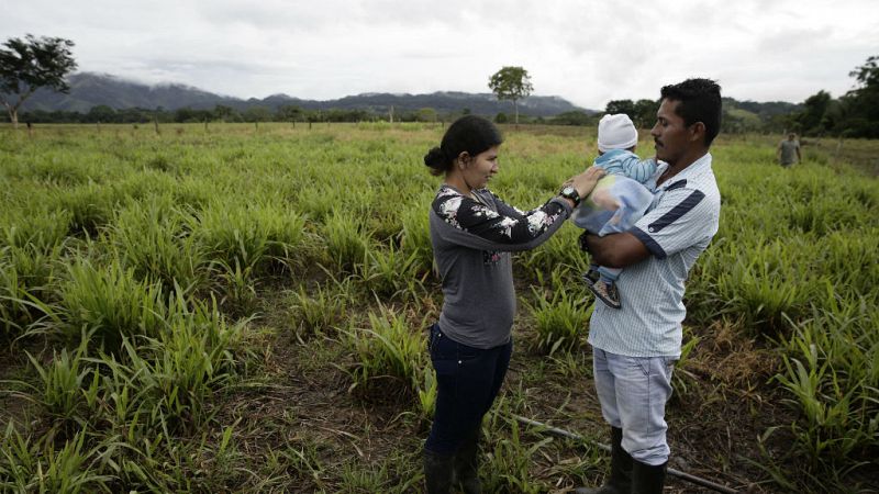 Cinco continentes - Las dificultades para reincorporar a las FARC - 05/08/19 - Escuchar ahora