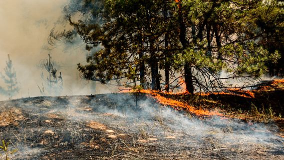Todo Noticias - Tarde