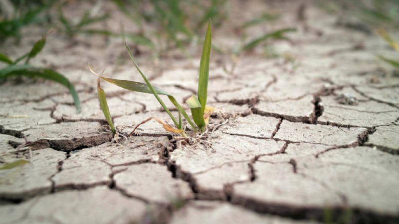 14 horas - Sequía | Ávila busca agua debajo de las piedras - Escuchar ahora