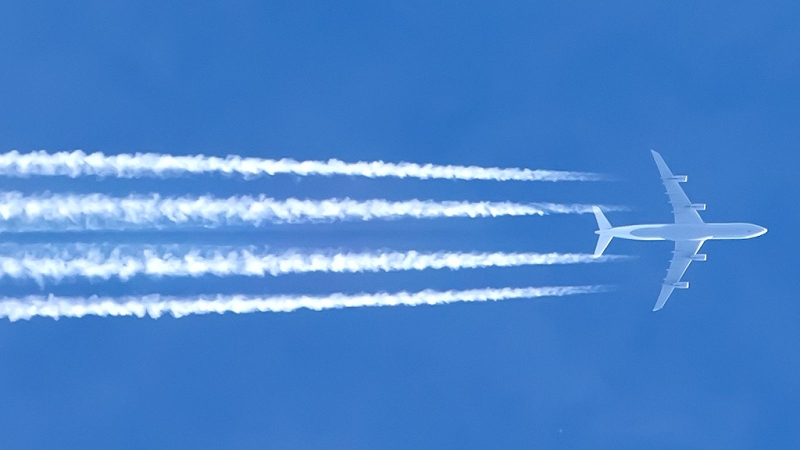  La vergüenza a volar - Escuchar ahora