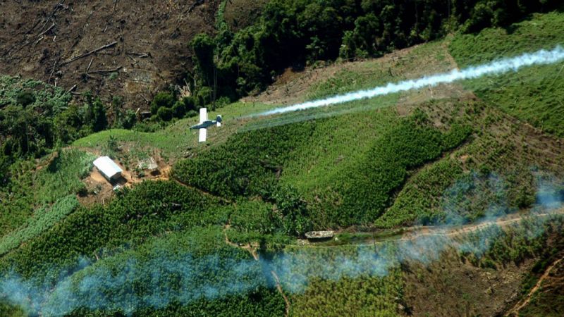 Cinco continentes - La guerra del Catatumbo - Escuchar ahora
