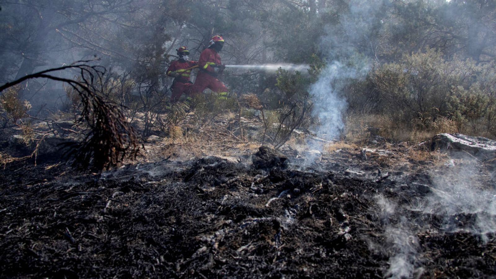 Todo Noticias - Mañana - ¿Qué hacemos con el terreno después de un incendio? - Escuchar ahora