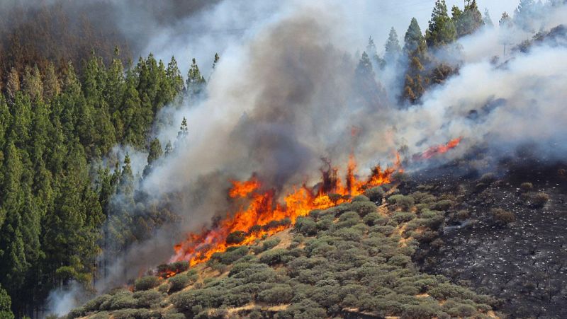 14 horas fin de semana - Desalojo de unas mil personas y sin control el incendio forestal en Gran Canaria - Escuchar ahora