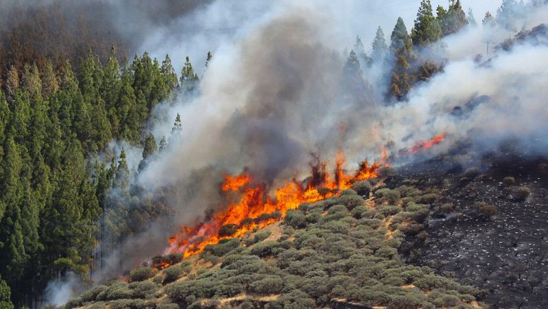 14 horas fin de semana - Desalojo de unas mil personas y sin control el incendio forestal en Gran Canaria - Escuchar ahora