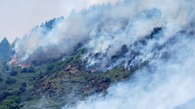 Entrevista-Luis Fernando Arencibia (técnico de Medio Ambiente del Cabildo de Gran Canaria) 18/08/19