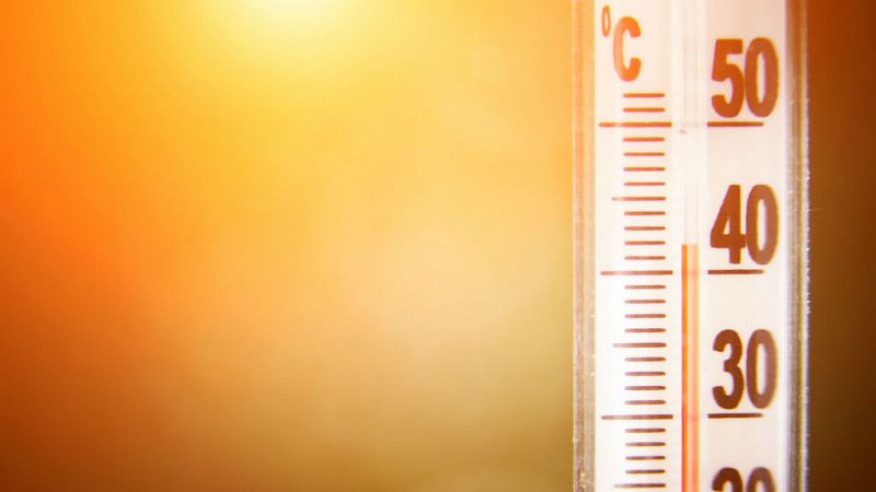 14 horas - Las muertes por altas temperaturas podrían multiplicarse por diez - Escuchar ahora
