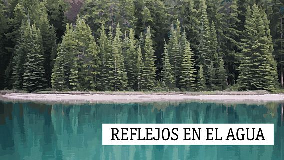 Reflejos en el agua