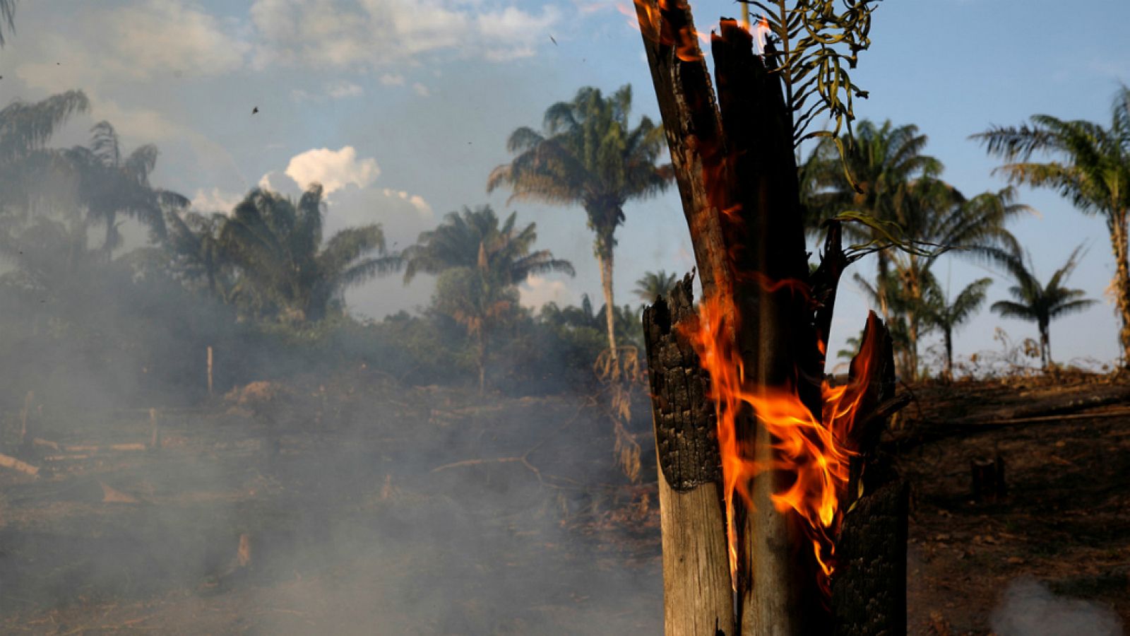 14 horas - Arde el Amazonas, principal recurso contra el cambio climático - Escuchar ahora
