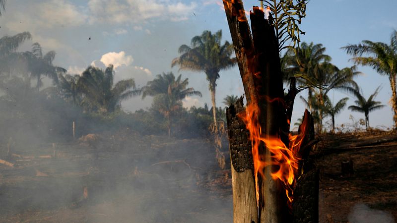  14 horas - Arde el Amazonas, principal recurso contra el cambio climático - Escuchar ahora