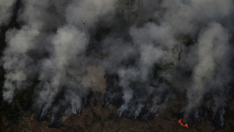 Cinco continentes - La Amazonía brasileña arde - Escuchar ahora