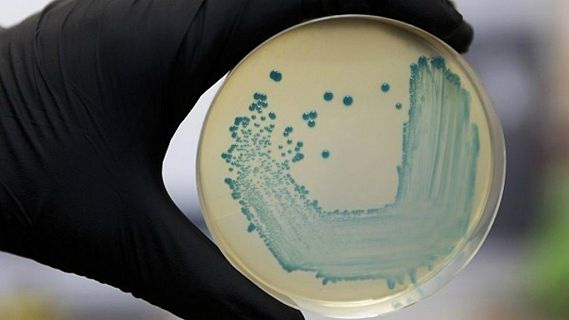 Las mañanas de RNE con Íñigo Alfonso