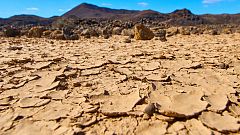 Todo Noticias tarde - Entrevista Cumbre ONU desertificación: la desertización y la emigración, a veces, van unidas