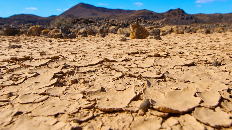 Todo Noticias tarde - Entrevista Cumbre ONU desertificación: la desertización y la emigración, a veces, van unidas - Escuchar ahora