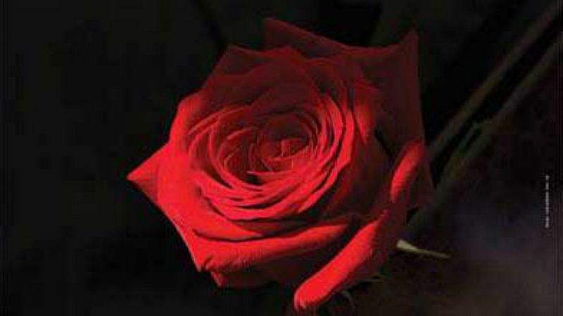 De cine - 'Inocencia' y 'Un traductor', elegidas por Cuba para Goya y Oscar - 06/09/19 - Escuchar ahora