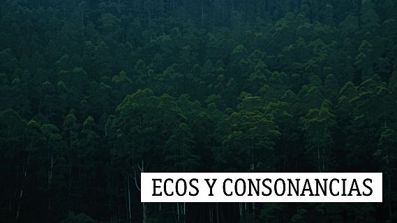 Ecos y consonancias