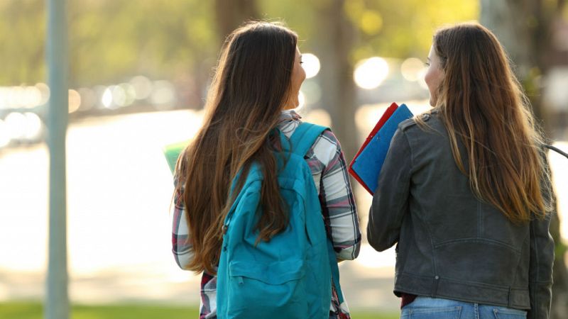  14 horas -  Las personas con título universitario en la OCDE ganan un 57% más de media y sufren menos paro - escuchar ahora