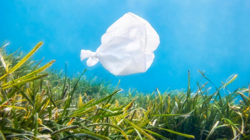 Planeta vivo - La contaminación por microplásticos ya ha alcanzado el Ártico - 11/09/19 - Escuchar ahora