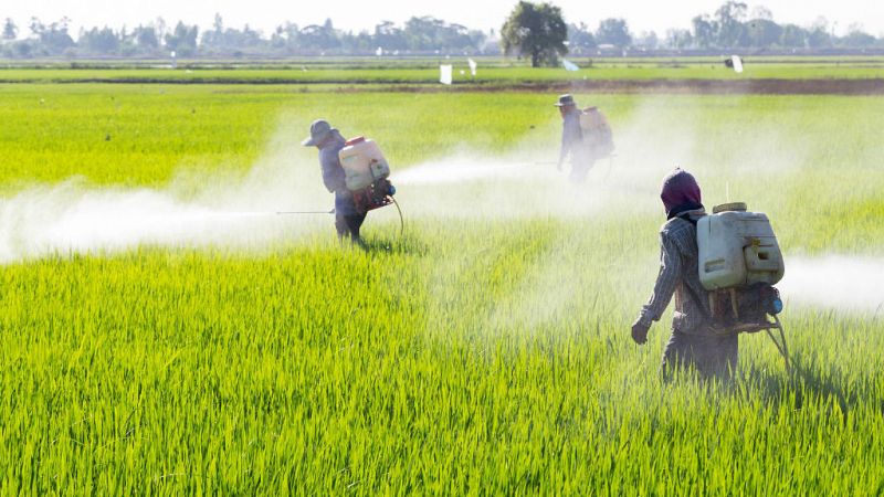 Boletines RNE - Cinco grandes ciudades de Francia prohiben los pesticidas - Escuchar ahora