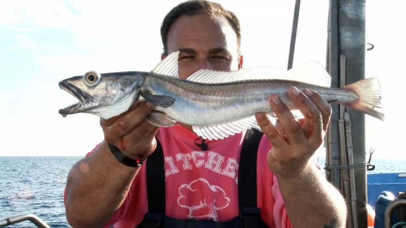 Las mañanas de RNE con Íñigo Alfonso - El chef del mar, Ángel León, reúne, de nuevo, a todos los implicados en esta industria - Escuchar ahora