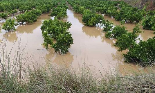 Las mañanas de RNE con Íñigo Alfonso
