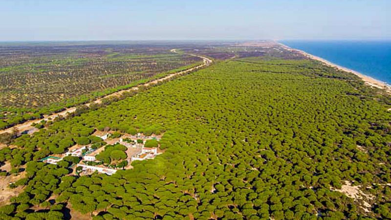 Escapadas - Doñana cumple 50 años - 19/09/19 - Escuchar ahora