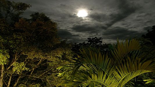 LiterCast - LiterCast - Soledad (Álvaro Mutis) - Escuchar Ahora