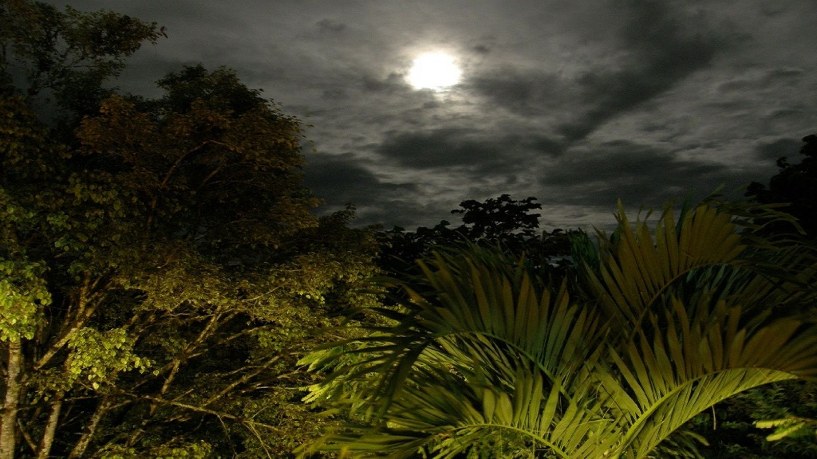 LiterCast - Soledad (Álvaro Mutis) - Escuchar Ahora