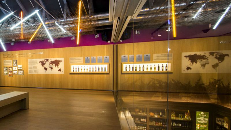 Escapadas - ¡A por uvas! Museo del Vino Pagos del Rey - 21/09/19 - Escuchar ahora