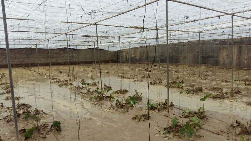 Agro 5 - Gota fría sin precedentes en más de 100 años - 21/09/19 - Escuchar ahora