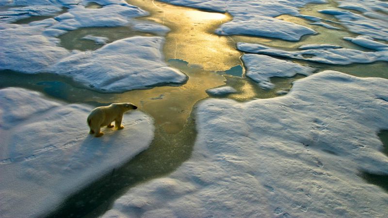  Todo Noticias Tarde - Los españoles ante el cambio climático - Escuchar ahora